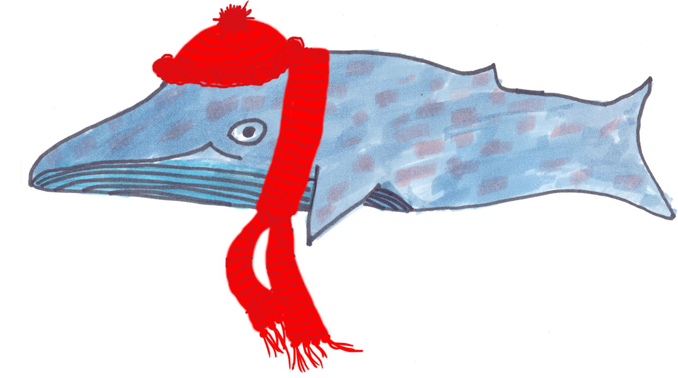 Zeichnung Wal mit rotem Schal und Mütze